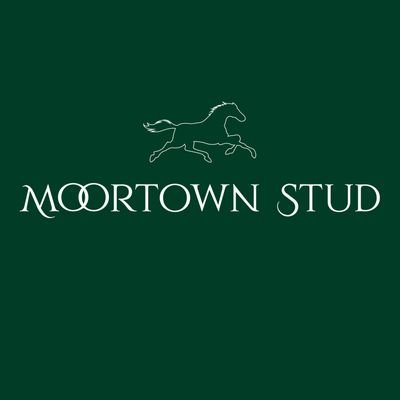 MoortownStud's profile picture. Studfarm in Wexford, Ireland standing Watar.
