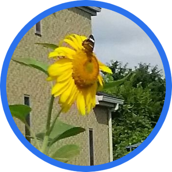 さーくるオズは緊急事態宣言中につき個別相談要予約 Saho5 Oz Kono87 Twitter さーくるオズは緊急事態宣言中につき個別相談要予約 Saho5 Oz Kono87 Twitter