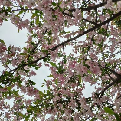 smatfinder's profile picture. 😀😬😁😂