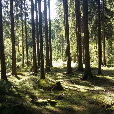 Sandra99915252's profile picture. Demokratin aus Überzeugung 🌻🏳️‍🌈🇪🇺🇺🇦🇮🇱
Ostdeusche Dorfkartoffel

#TeamToleranz
#TeamMitmenschlichkeit
#TeamHabeck