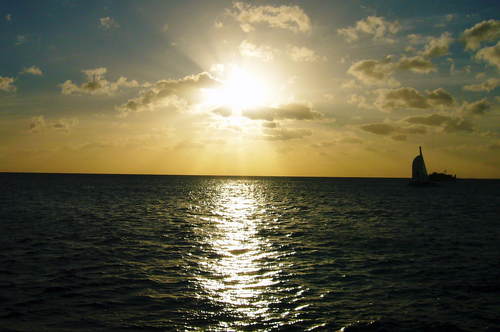 kaoriingo's profile picture. Enjoying my new life in San Francisco ! cafe/Shopping/ drinking/Eating/Disney/Basketball/ドライブ/空港/dog/旅行/English/America///Lets talk. Please follow me ne(≧∇≦)