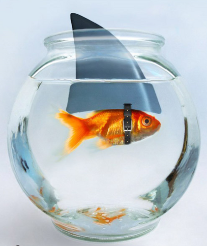 emergeWeb's profile picture. Quality resources for emerging web design trends, new advancements in technology, and the things that shape our digital world.