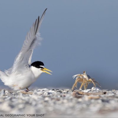 wellswei2018's profile picture. Hello! $FAR  互粉，fllow back
#notyourDOTnotyourDED,YLHK8SQ5