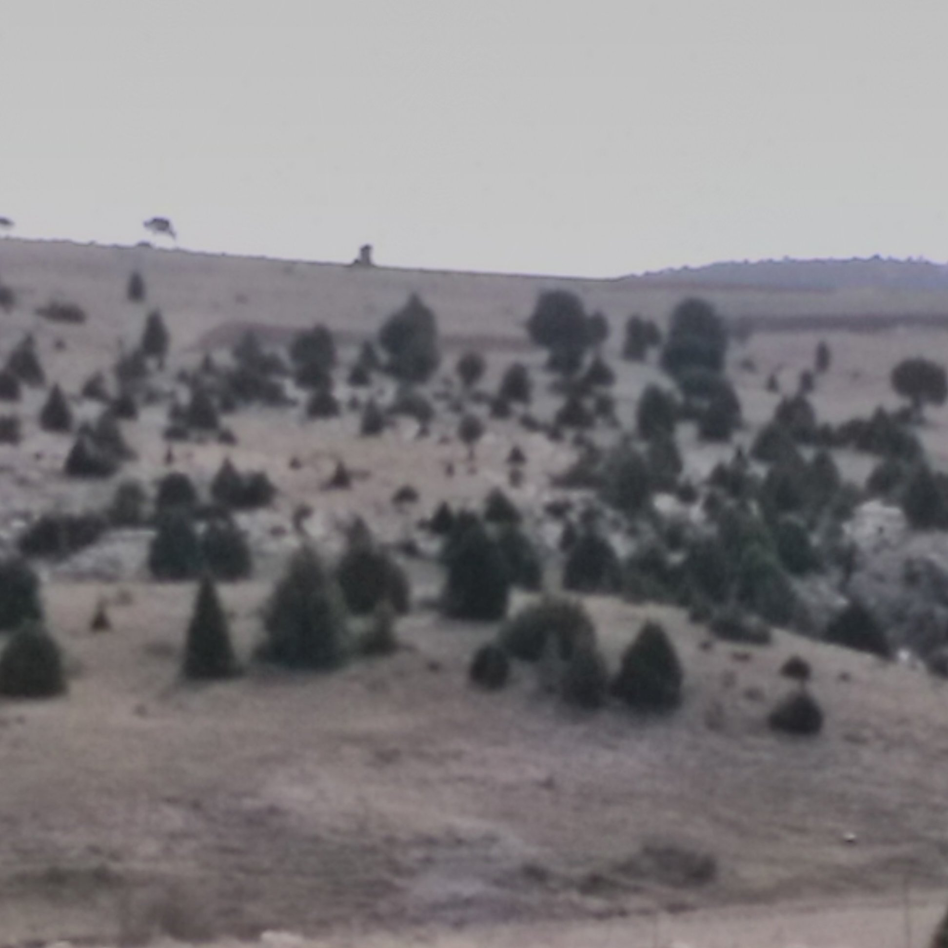 Bahceci43's profile picture. Hayat zenginlerden yana olabilir fakat, ölüm tarafsızdır.