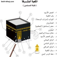 ابومحمد (@hamzullahabid12) 's Twitter Profile