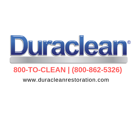 Carpet & Upholstery Cleaning, Mold Remediation, Water Damage Restoration