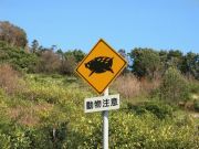 kawazu97's profile picture. はじめまして。ツイートを見ていただきありがとうございます。
友達のツイートが見たくてツイッターを始めましたが、私もちょくちょくつぶやいてます。