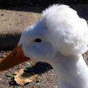 Matthew Brouillard - @afro_duck - Twitter