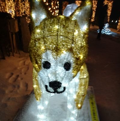 ザ・コインロッカーズ応援中!
コイロカを後にしたメンバーに幸あれ✨
特に植木美心、手塚愛乃、髙橋菜月、戸谷奈桜美、今後の活動も注目したい。