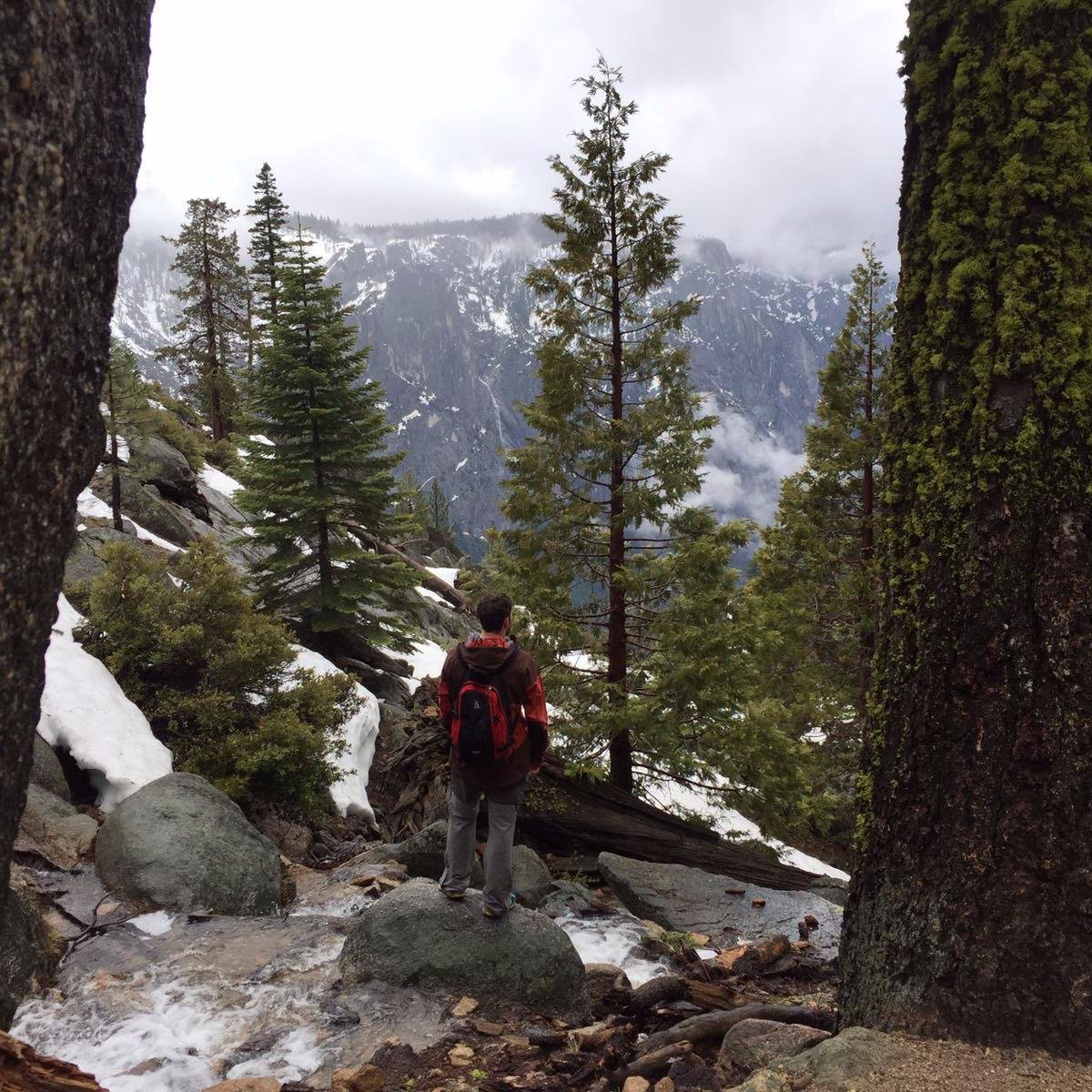 backcoder's profile picture. Freelance Frontend Developer