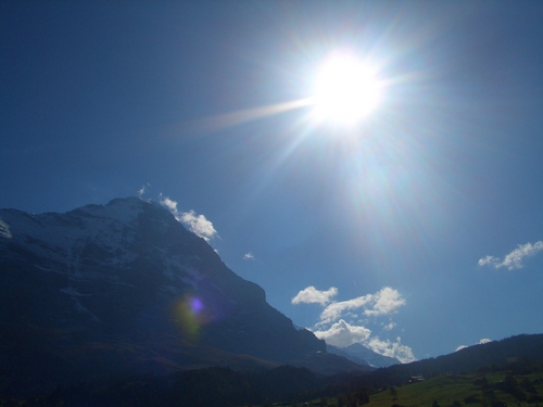 tkymlge's profile picture. ✈️🐩👩‍⚕️