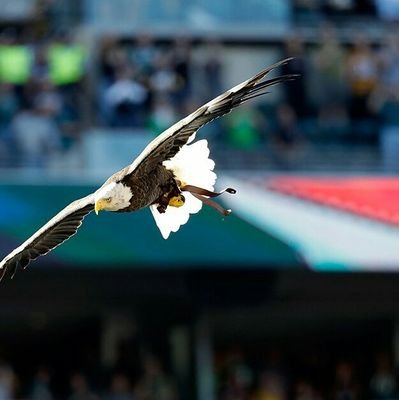 ElijahW62460604's profile picture. 