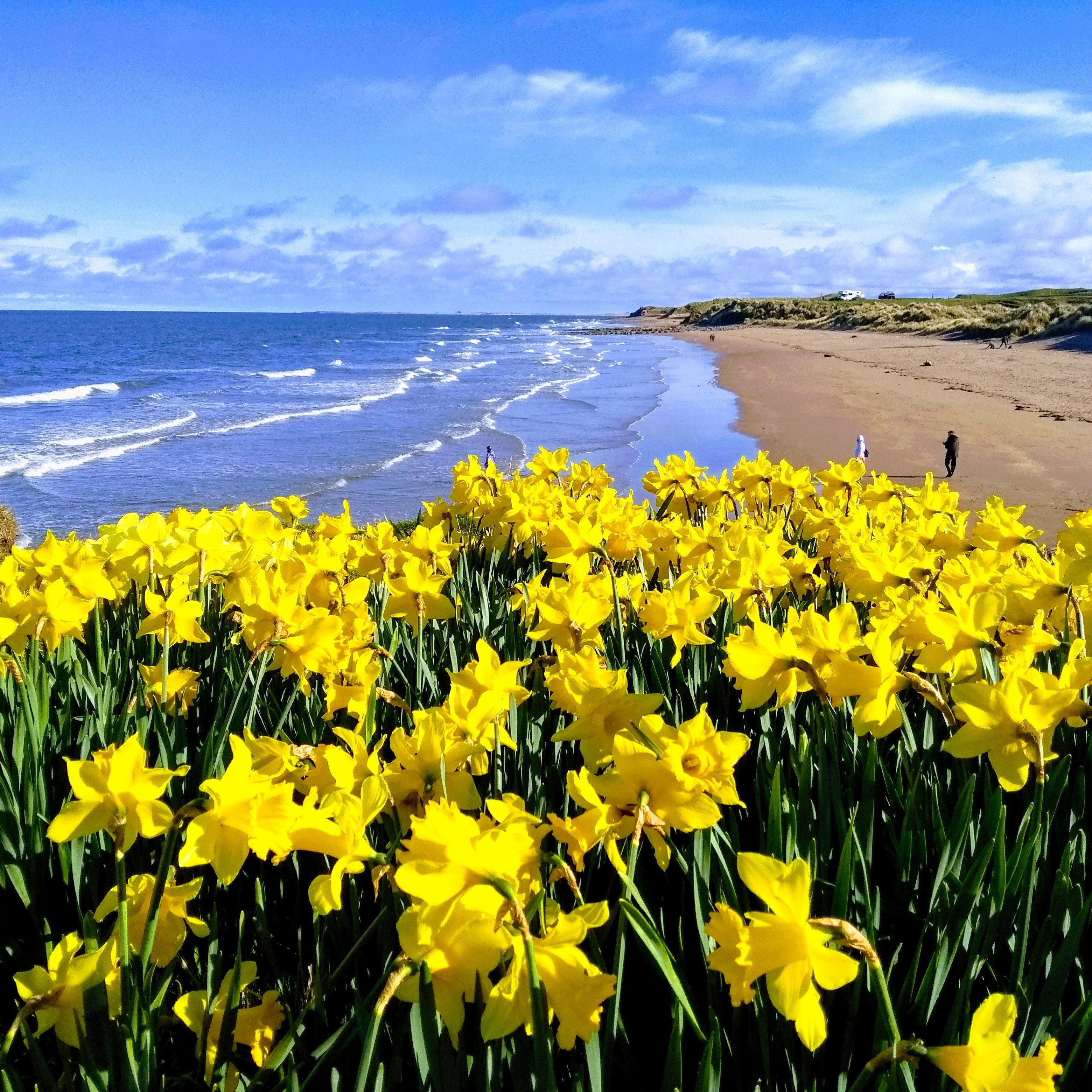 5 🌟, Gold Award Holiday Cottages in Northumberland. 5 minutes from Cocklawburn, Cheswick & Goswick beaches & Lindisfarne Nature Reserve.