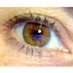 Silvia Bodoardo (@sbodoardo) Twitter profile photo Silvia Bodoardo (@sbodoardo) Twitter profile photo