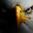 UWL_Wrestling's profile image