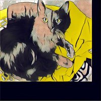 Kimi The Cat (@kimi_cat1) 's Twitter Profile