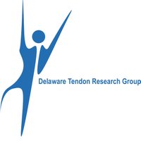 Tendon Research Group @ UD(@UDtendongroup) 's Twitter Profile Photo