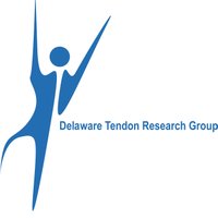 Tendon Research Group @ UD (@udtendongroup) 's Twitter Profile Photo Tendon Research Group @ UD (@udtendongroup) 's Twitter Profile Photo