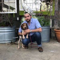 Aaron Patrick (@aaronp4659) 's Twitter Profile