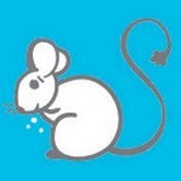 deecawcutt's profile picture. 