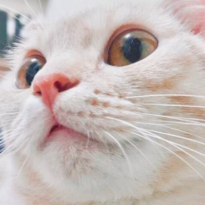 1991Amano's profile picture. DDR-CODE : 71439646