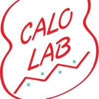 Calo Lab(@CaloLabMIT) 's Twitter Profile Photo