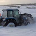 Allyson Cole - @queenallyson - Twitter