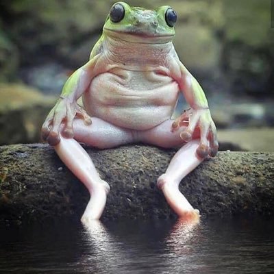 Saintedin2018's profile picture. Thighs that could break a neck. Pre existing human condition. Repeat 9 Allele representing