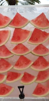 FunBob19's profile picture. just for fun