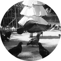 aseel_alh (@aseell_alh) 's Twitter Profile