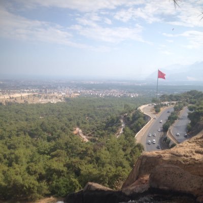 AytemicY's profile picture. 