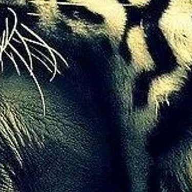 norikologan12's profile picture. 