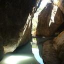 ELISA NICOLETTI - @ASILE61 - Twitter