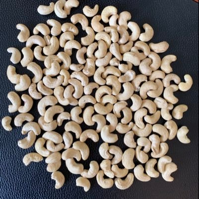 CashewVietnam's profile picture. Cashew Trader
