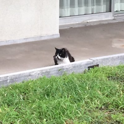 wasanbomb's profile picture. 