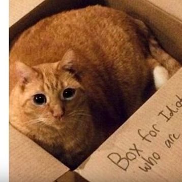 fixit34436171's profile picture. Try Enough Times Something Will Stick