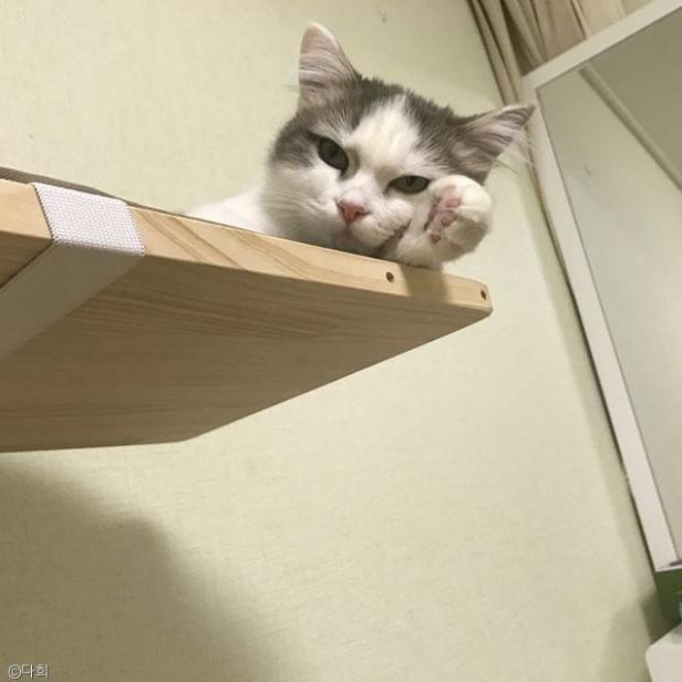 안녕하세요