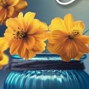 poor_humanity's profile picture. 