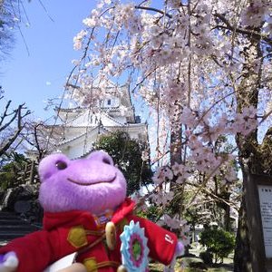 【ゆきゆっきー❄様】1180.天然石　琉球ガラス　桜　おすわり猫　キーホルダー 牡蠣殻クラフトオストリカofficial | 【春待つ季節にぴったり