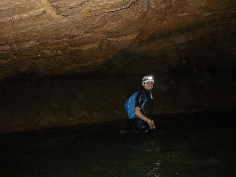 hmestre's profile picture. 