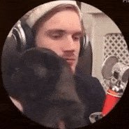 Sup3rCoquelicot's profile picture. Ça va idiot ?