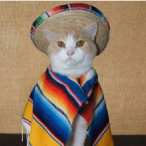 xjasenx's profile picture. ice americano