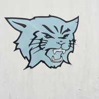 York Wildcat Softball 2023 State Champions(@yorksoftballME) 's Twitter Profile Photo