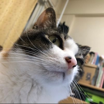あんぱんさんのプロフィール画像