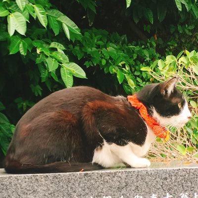 蒼月零羅さんのプロフィール画像