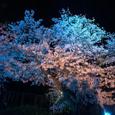 黄烦烦是我的不服来pkpkpk 中検一級の問題まじ意味わからんw 那愁似自天而降的黄河之水那愁化作了流光溢彩的篇章 だれかそんな言い方するのww翻訳できんわ笑