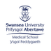MSc Health Informatics at Swansea University (@msc_hi) Twitter profile photo MSc Health Informatics at Swansea University (@msc_hi) Twitter profile photo
