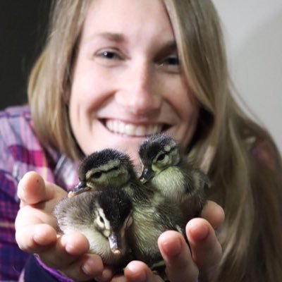 Behavioral ecologist 🐘🐣 | Currently postdoctoral researcher at Hunter College (CUNY) | I also make greeting cards 👉 https://t.co/hJ19tT7XNU