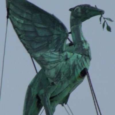 didimanxnet1's profile picture. Me