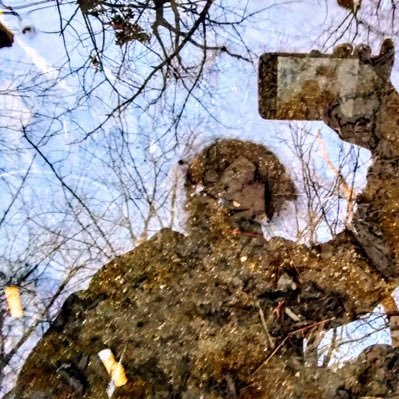 _polytropoi's profile picture. follows are invites

deciduous, not evergreen | hypomanic dryad hallucination girl | sporadic but intense when present